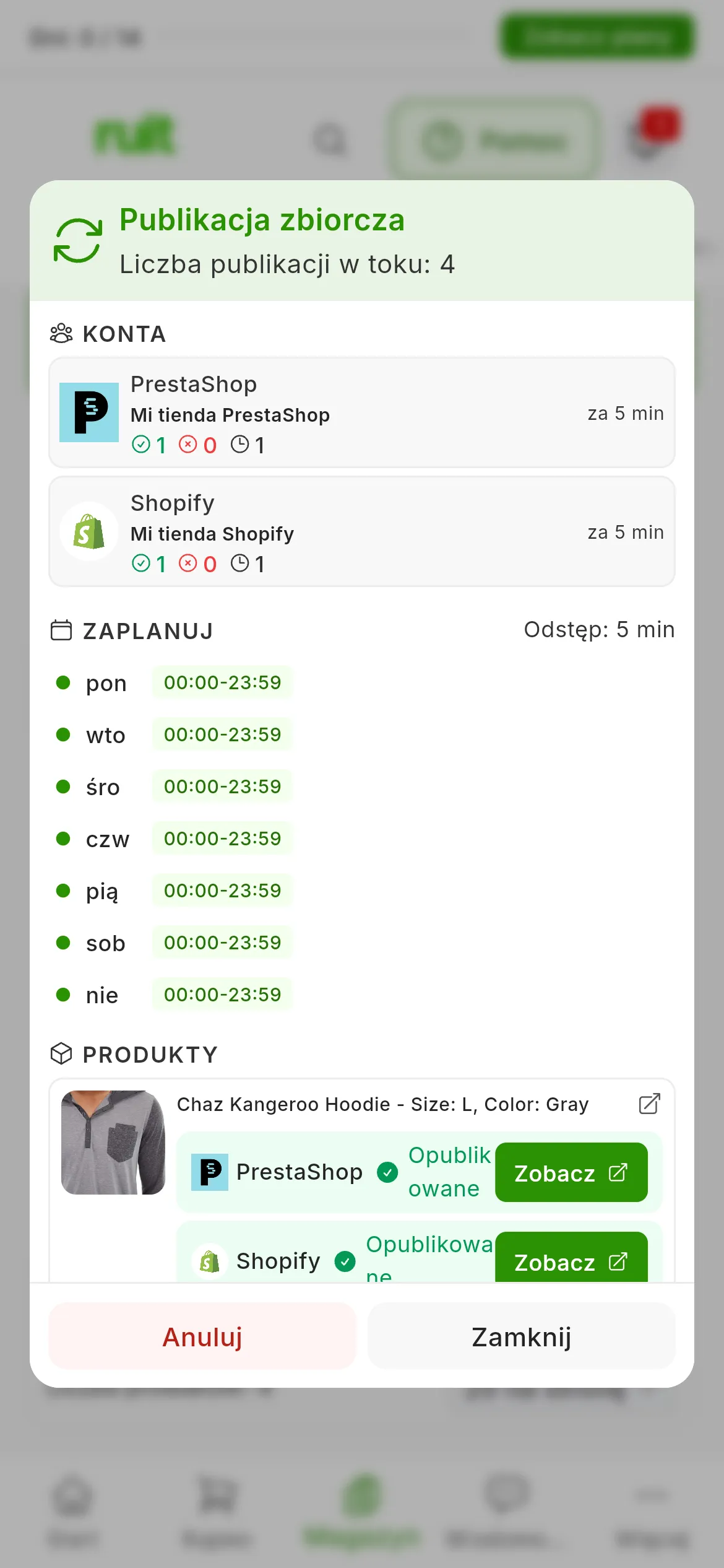 Okno Publikacja zbiorcza zadania w toku, z 4 publikacjami w toku: w KONTA Mi tienda PrestaShop i Mi tienda Shopify z licznikami i następną publikacją za 5 min; w ZAPLANUJ Odstęp: 5 min i godziny każdego dnia; w PRODUKTY produkt z wierszem Opublikowane i przyciskiem Zobacz w każdym sklepie; na dole Anuluj i Zamknij