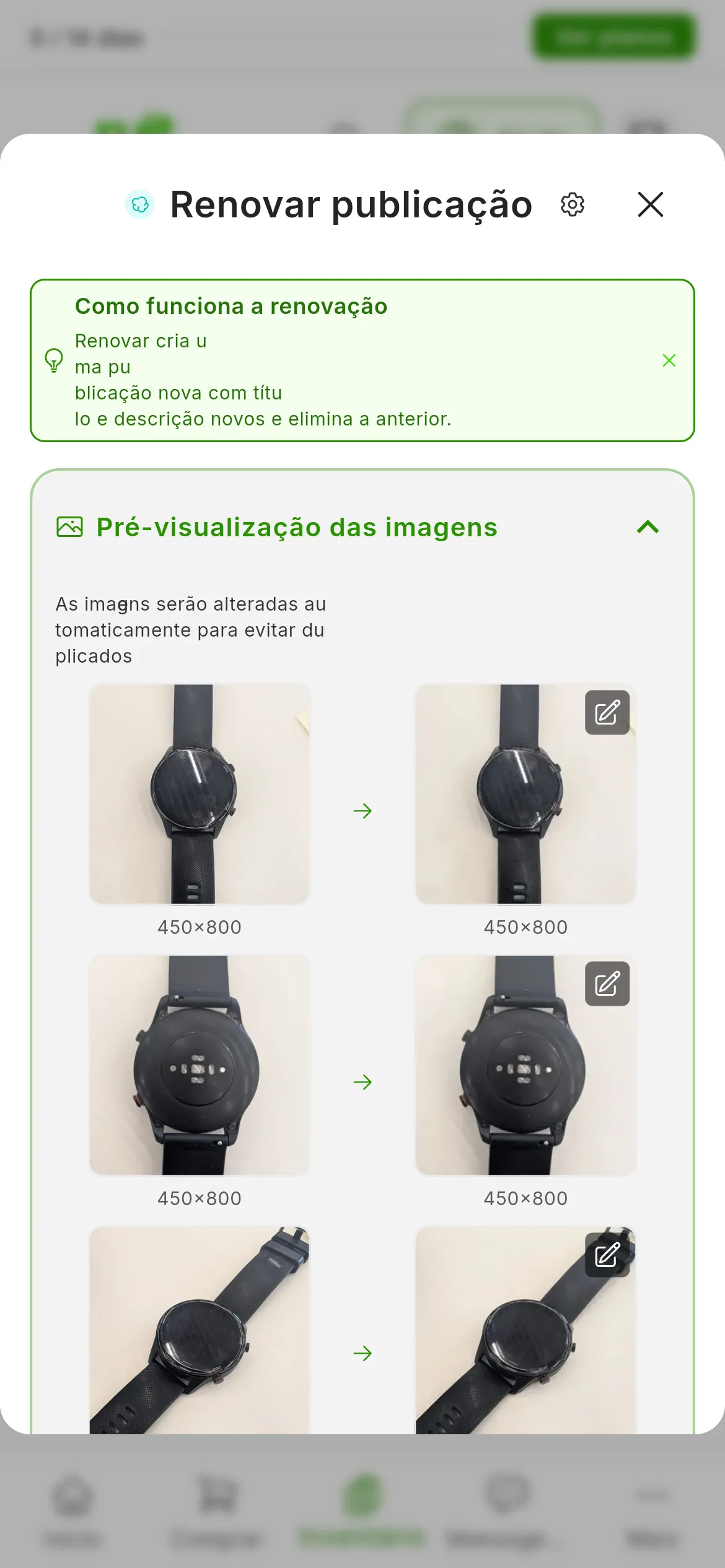 Pré-visualização das imagens aberta na janela de renovar: As imagens serão alteradas automaticamente para evitar duplicados e, em cada linha, a foto original à esquerda e a versão alterada à direita, com outro tamanho
