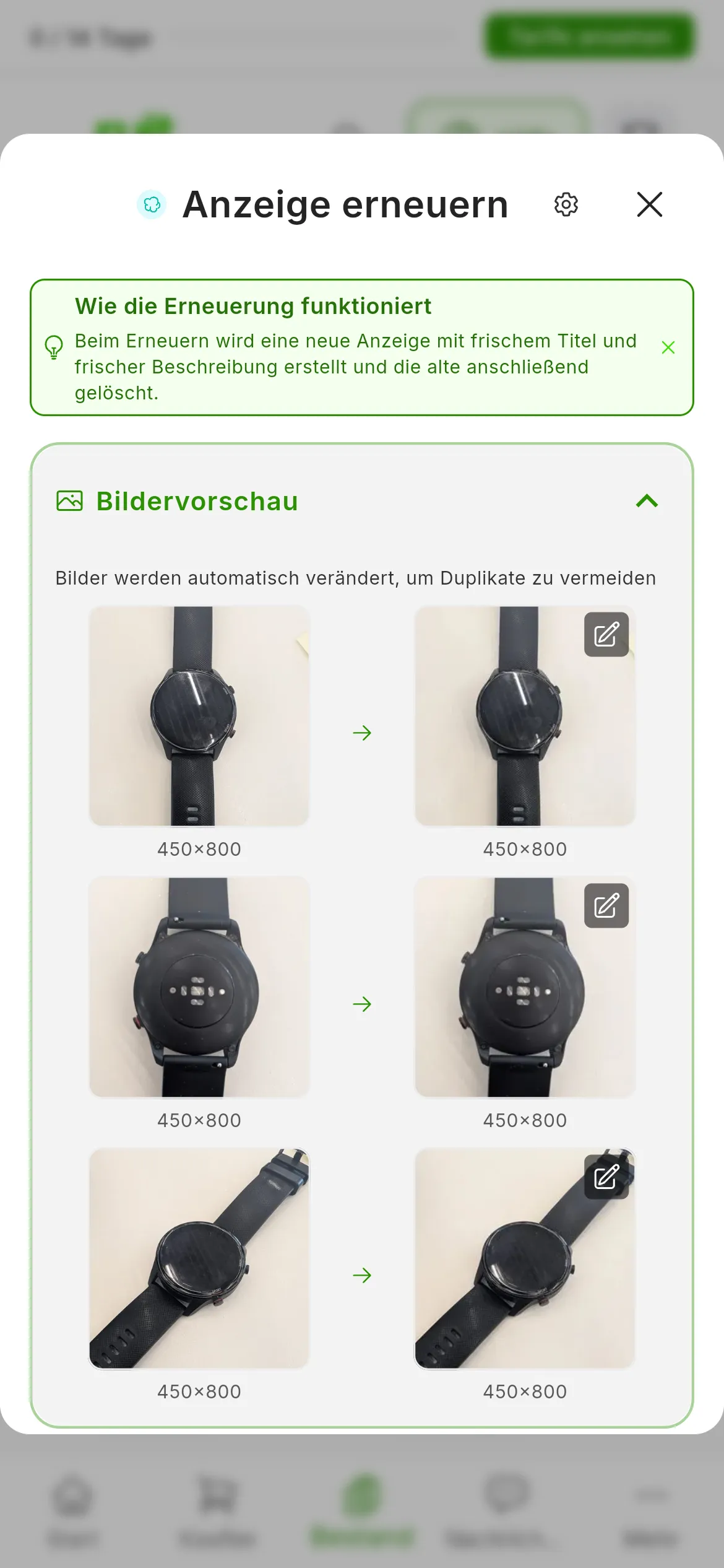 Die aufgeklappte Bildervorschau im Fenster zum Erneuern: Bilder werden automatisch verändert, um Duplikate zu vermeiden, und in jeder Zeile links das Originalfoto und rechts die veränderte Fassung, in anderer Größe