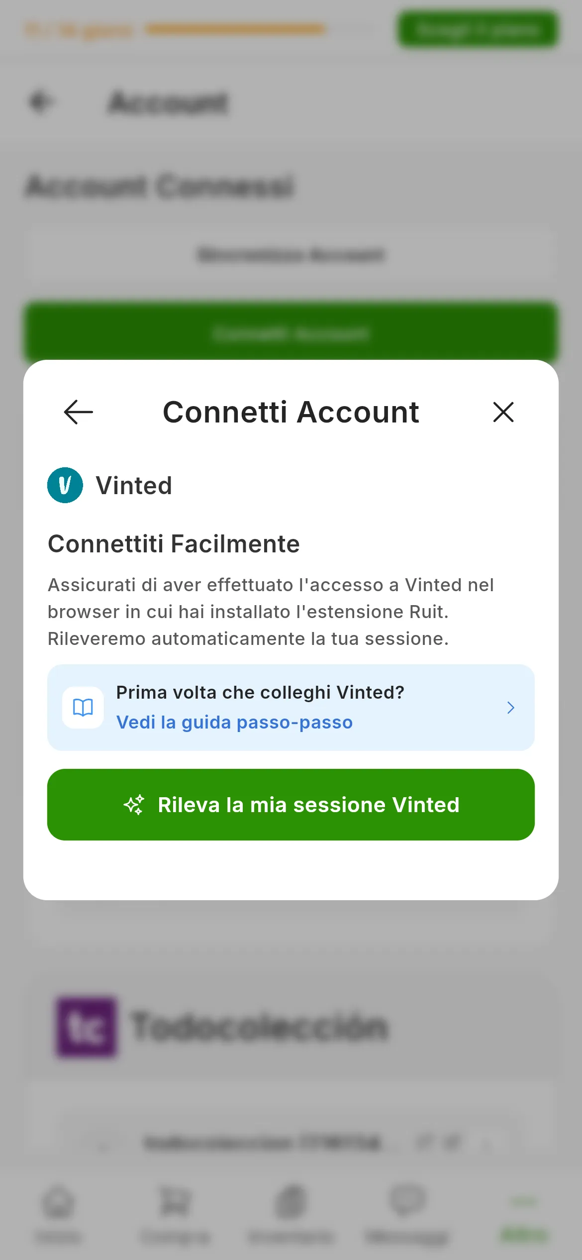 La finestra per collegare Vinted in RUIT: il titolo Connettiti Facilmente, il promemoria di avere la sessione aperta nel browser dell'estensione, il link a questa guida e il pulsante verde per rilevare la sessione