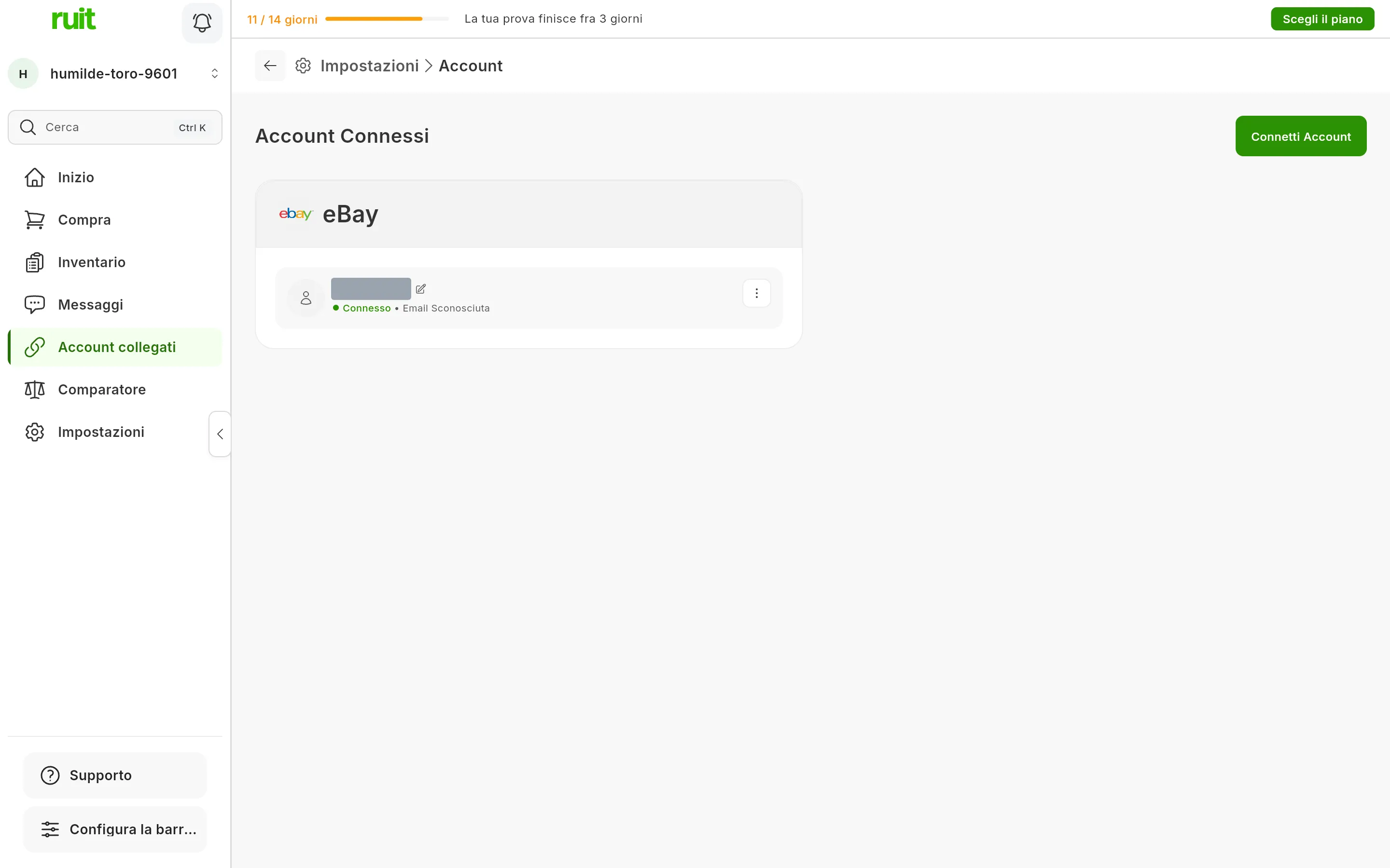 La schermata Account di RUIT con l'account eBay collegato: la scheda di eBay con il nome utente e lo stato di connesso, e il pulsante per connettere un account in alto a destra