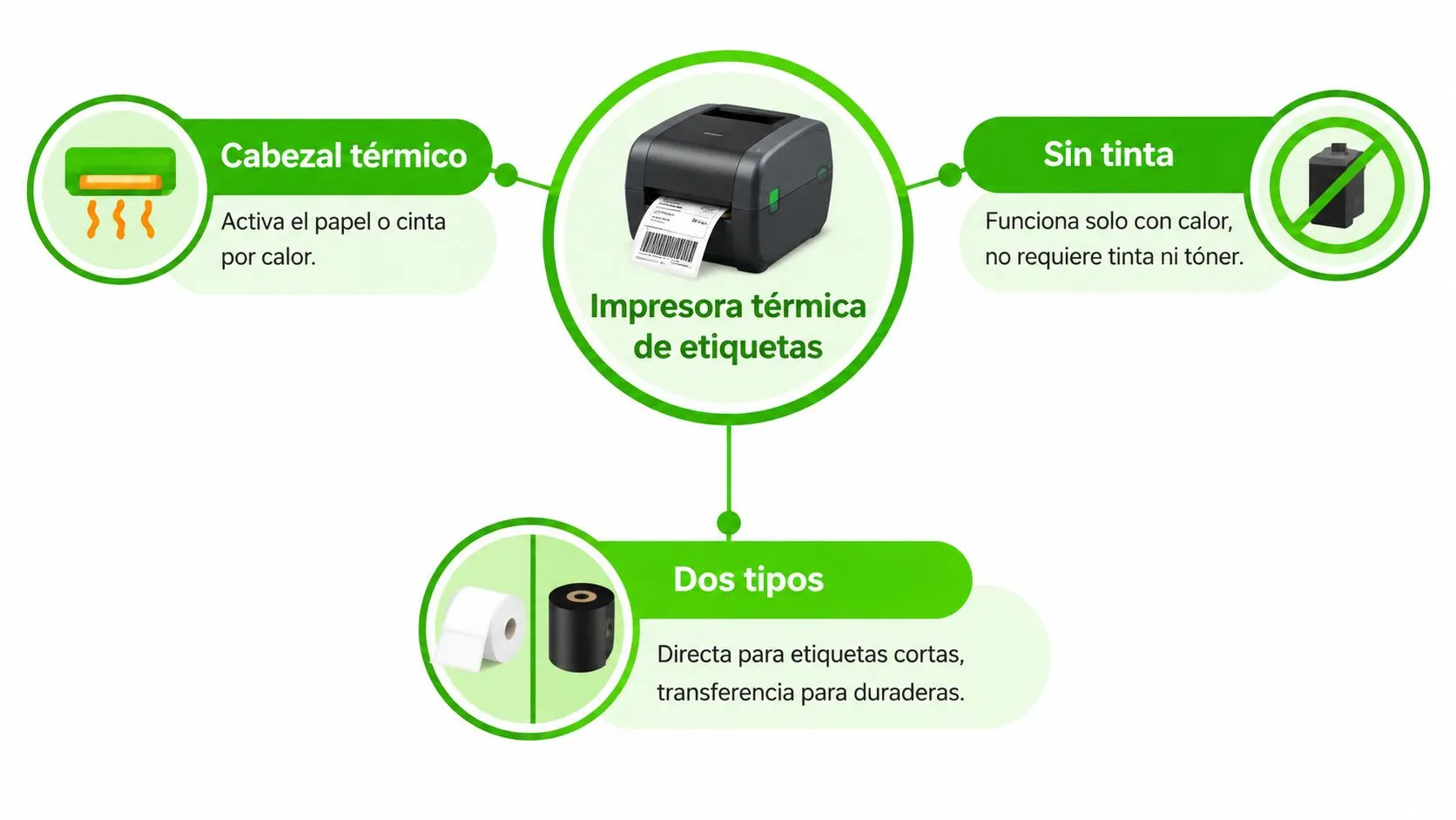 Infografía sobre el funcionamiento de una impresora térmica de etiquetas explicando sus componentes y dos tipos principales.